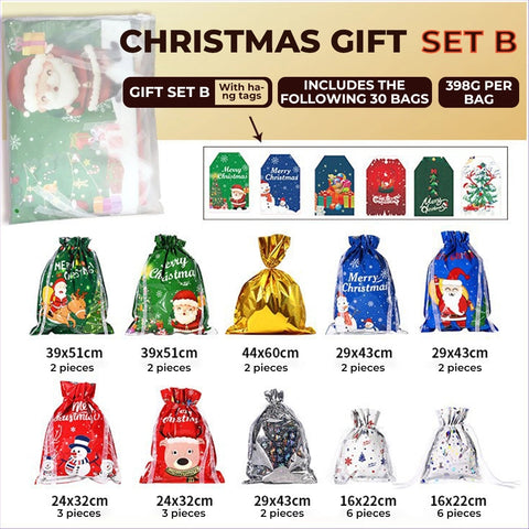 Christmas Gift Bag & Tag Set